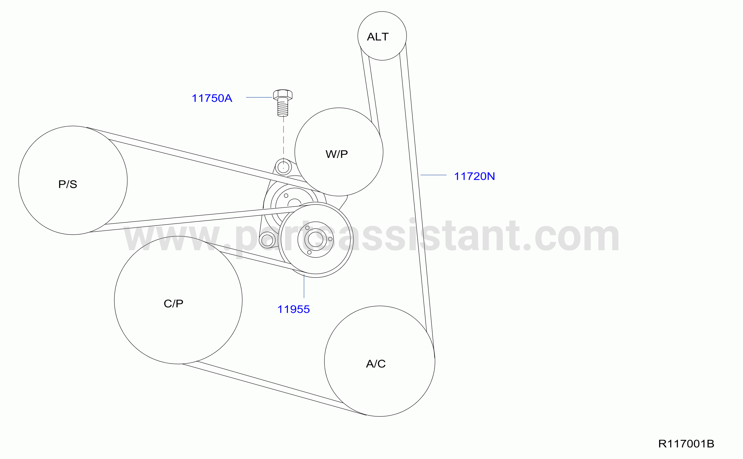 Fan Compressor Power Steering Belt
