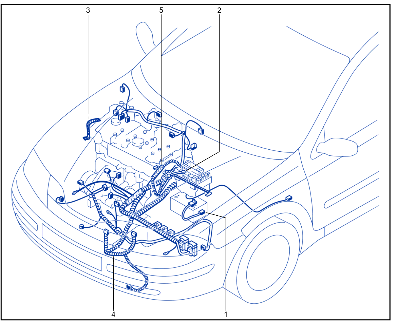 Wiring - Engine Components - 01005954