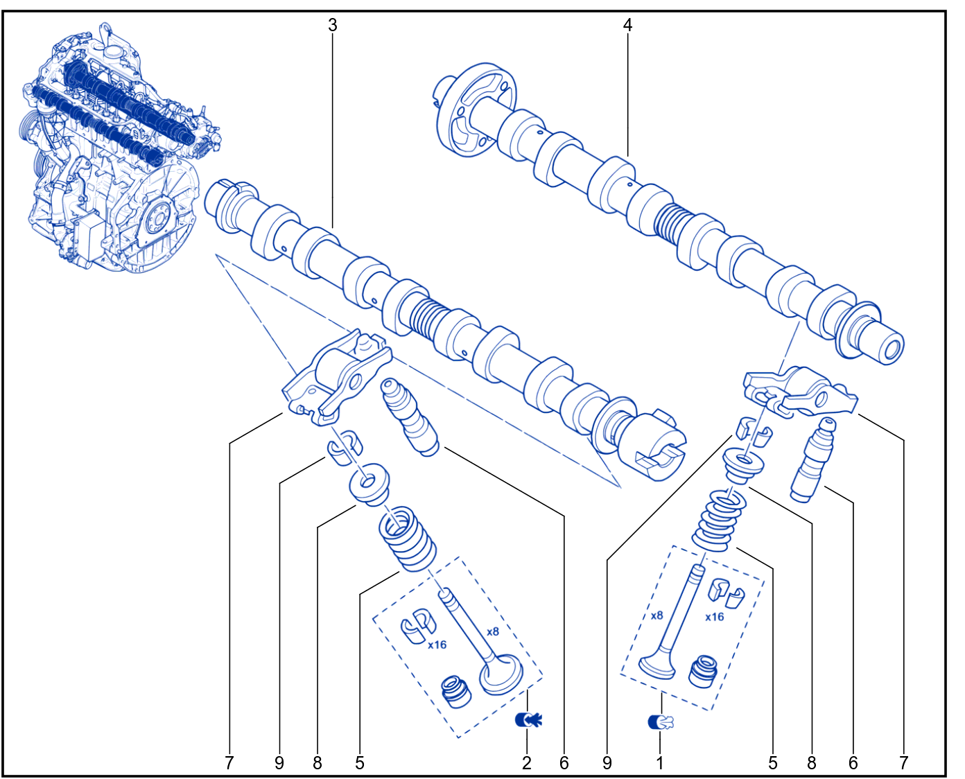 Timing - Camshaft - Valve - 01006617