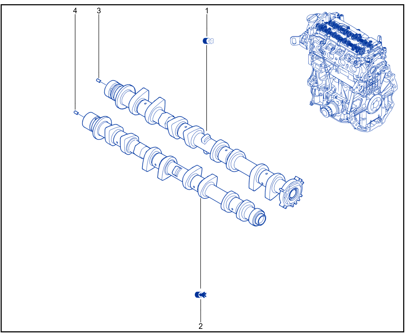 Timing - Camshaft - Valve - 01032735